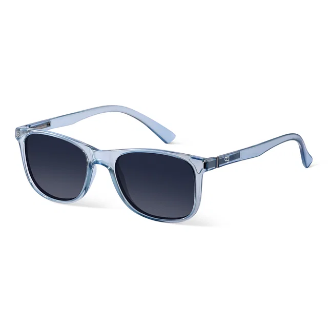 Midnight Polarized Wayfarer Sunglasses by Woggles