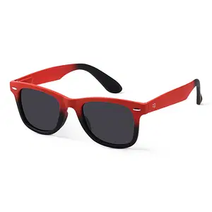 Challenger Polarized Wayfarer Sunglasses