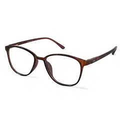 Branded Sunglasses