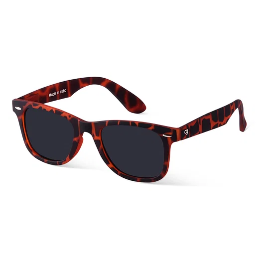 Buy Wayfarer Sunglasses For Women - 2 Sunglasses @999 - Woggles