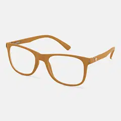 Branded Sunglasses