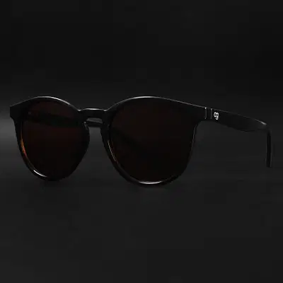 Buy Radon Brown Polarized Round Sunglasses
