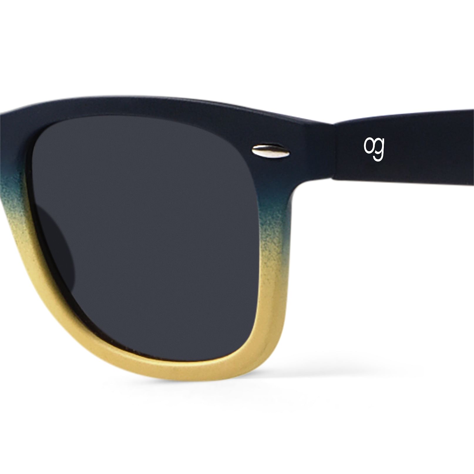 Titan polarized sunglasses discount
