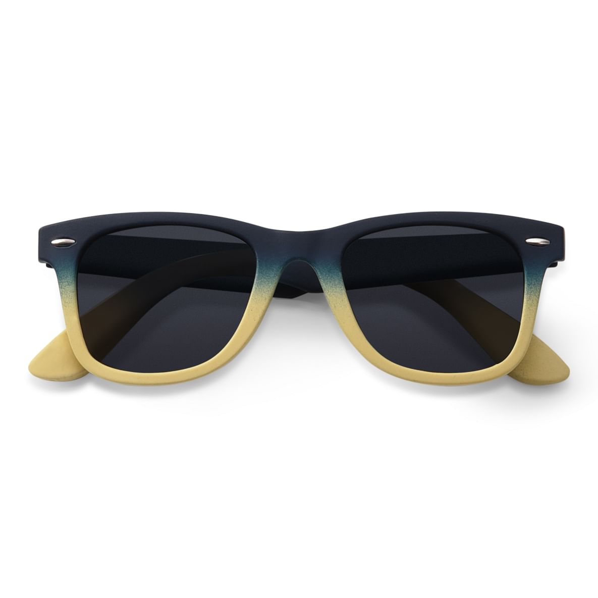 Titan wayfarer sunglasses top